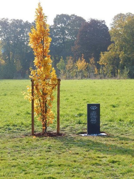 Viersen - Stadtpark in Süchteln - Baumdenkmal zum 200. Jahrestag der Geburt des Bahá'u'lláhs