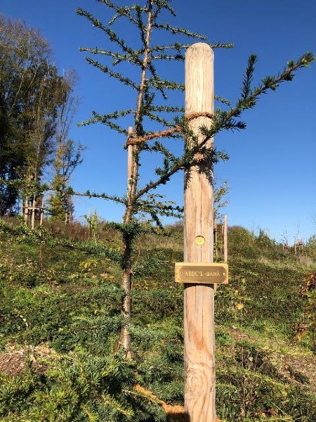 Andenken des 100. Viersen - Baumdenkmal zum 100. Jahrestages des Hinscheidens 'Abdu'l-Bahás