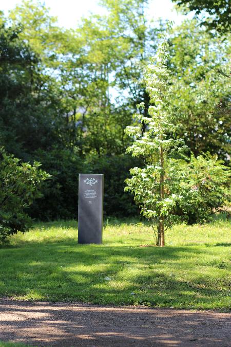 Viersen - Baumdenkmal zum 200. Jahrestag  der Geburt des Báb